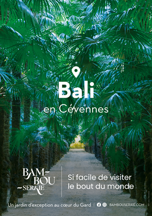 BAMB-ACCOMPAGNEMENT-2024-AFFICHE-A3-04-VECTO-HD3 300 p