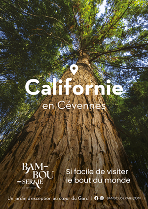 bamb affiche californie 300 p