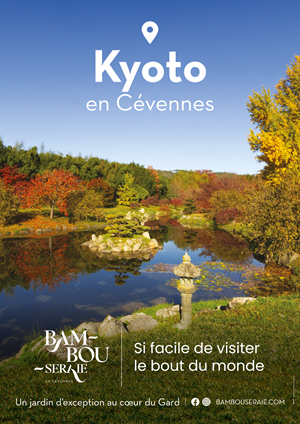 kyoto 300 p